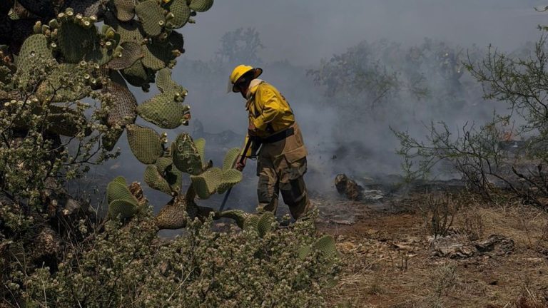 Consume fuego dos mil hectáreas en Ojo de Agua del Tule