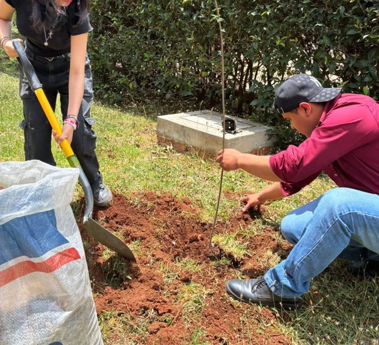 Reforestan unidad de QFB en la UAZ