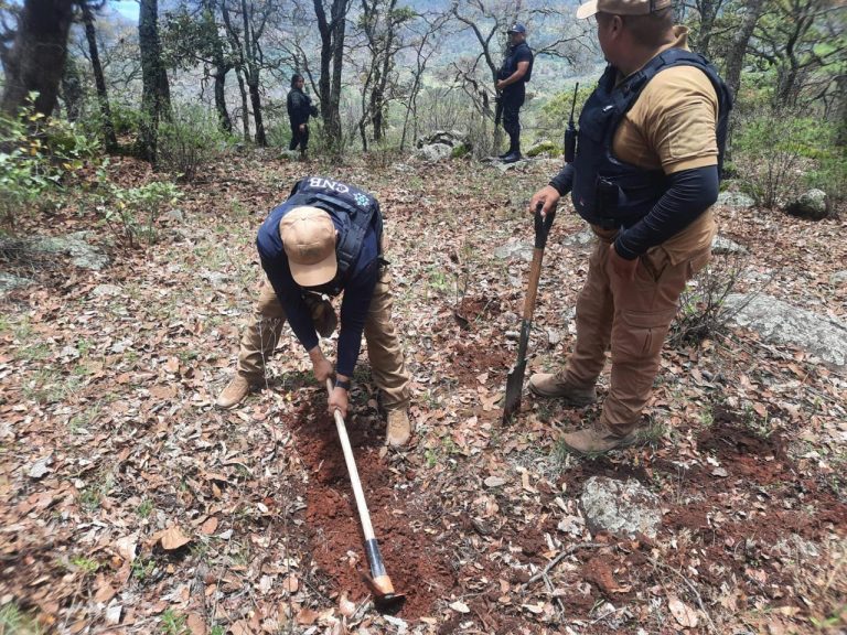 Jornada de búsqueda en Tepechitlán arroja resultados positivos
