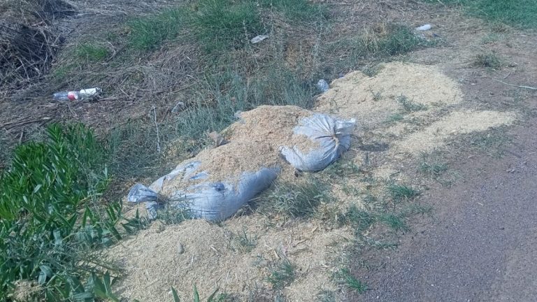 Localizan y destruyen explosivos en Zacatequillas