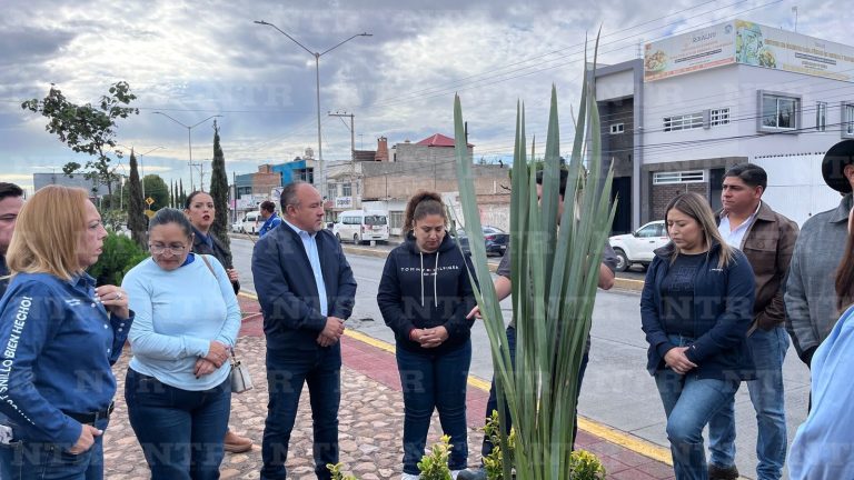 Proyectan producción de al menos 10 mil plantas en Fresnillo