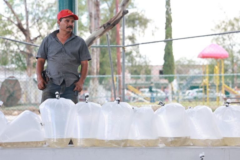 Entregan apoyos a 207 productores de Nochistlán