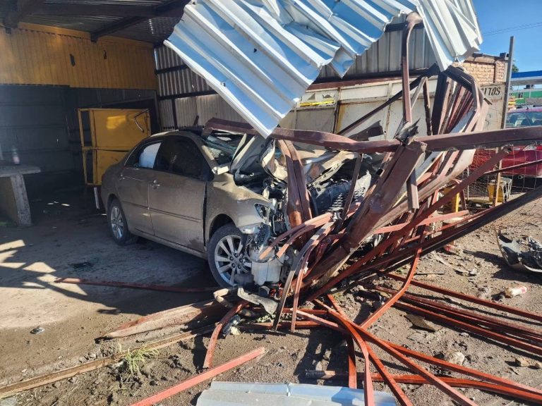 Choca contra puesto de comida; queda atrapada en el auto con su mascota