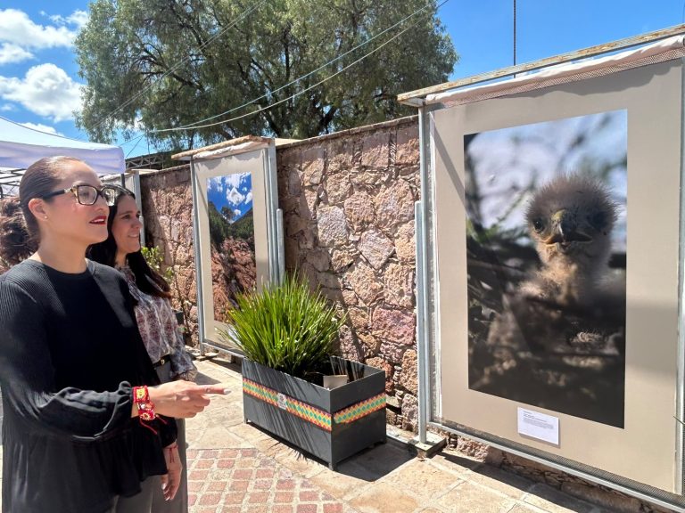 Entregan premios de Guadalupe Silvestre