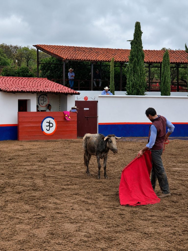 Juan Pablo Sánchez intensifica su preparación rumbo a las Ventas