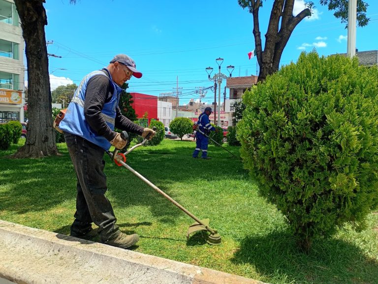 Dan mantenimiento a parques y jardines en Fresnillo