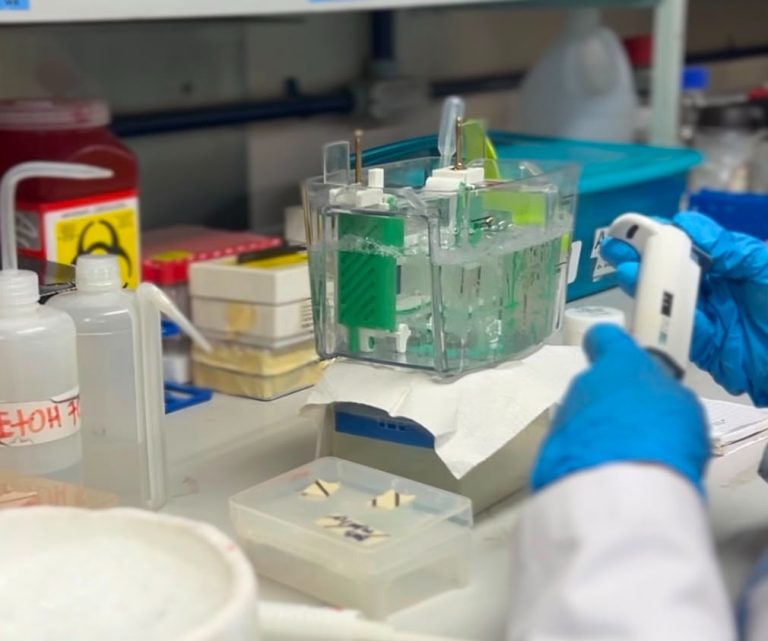 Referente nacional, Unidad de Investigación Biomédica del IMSS Zacatecas