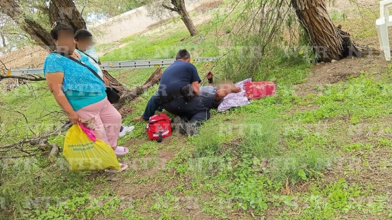 Sufre caída mientras podaba árboles y se fractura