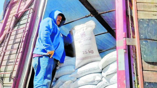Frijoleros exigen pago de sus cosechas