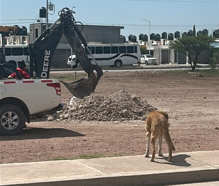 La San Carlos, punto de obras federales