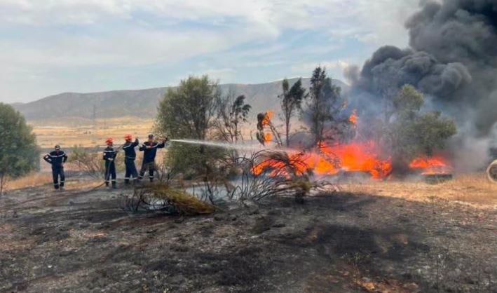Mueren 6 personas por incendios forestales en Argelia