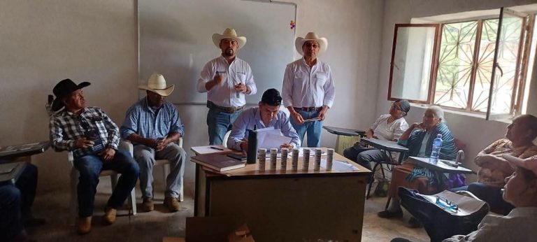 Tepechitlán combate silencio de casos de gusano barrenador