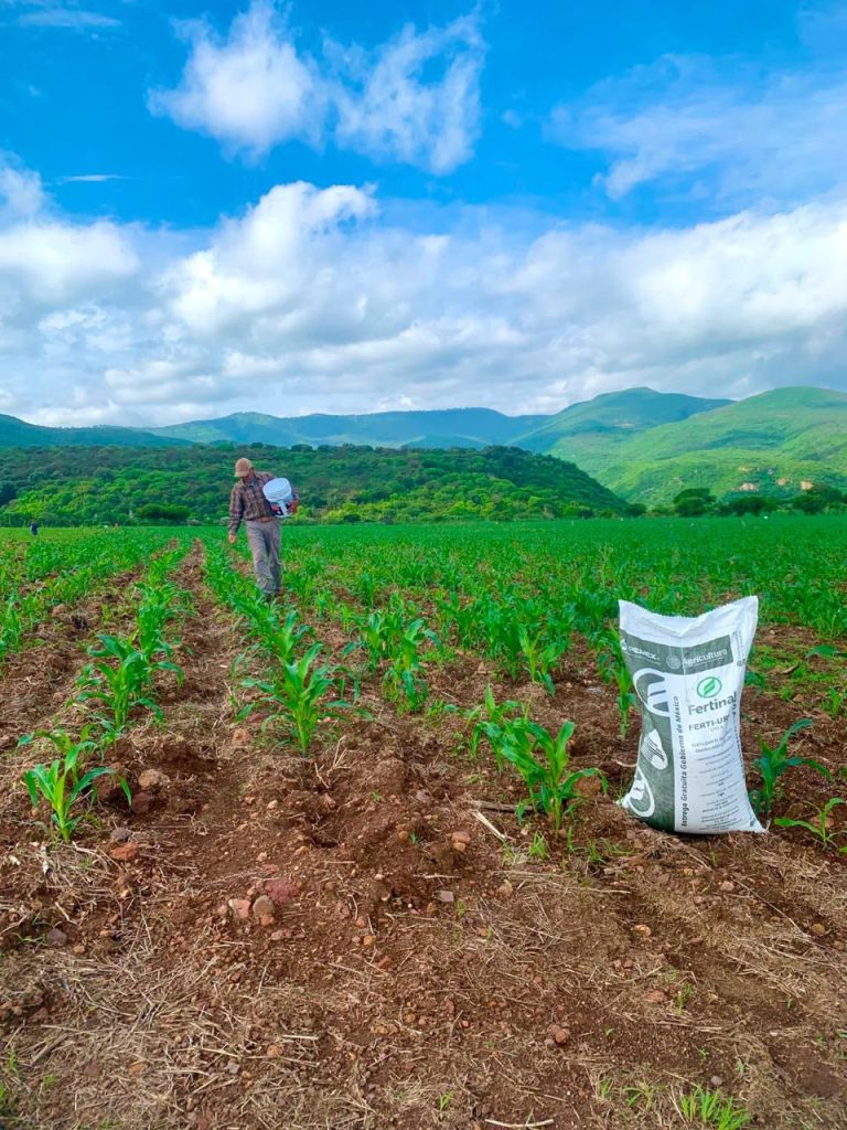 Solicitan a productores recoger fertilizante
