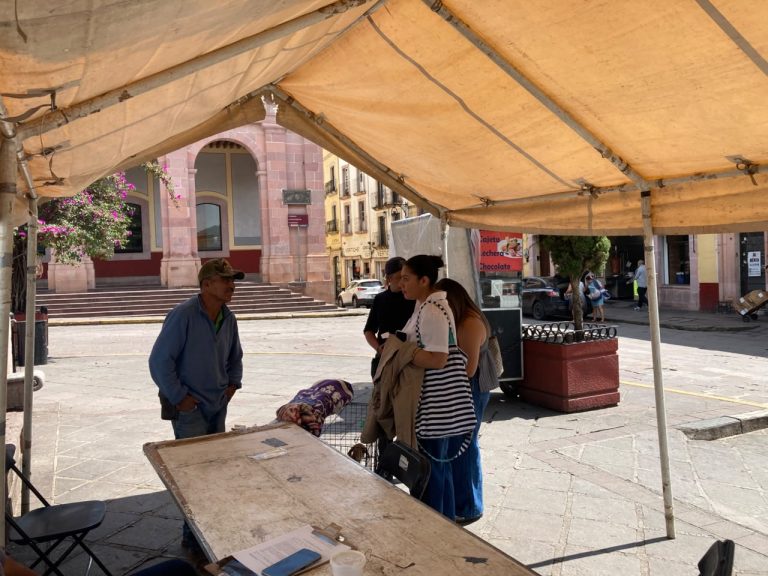 Continúan las jornadas de adopción y esterilización en la capital