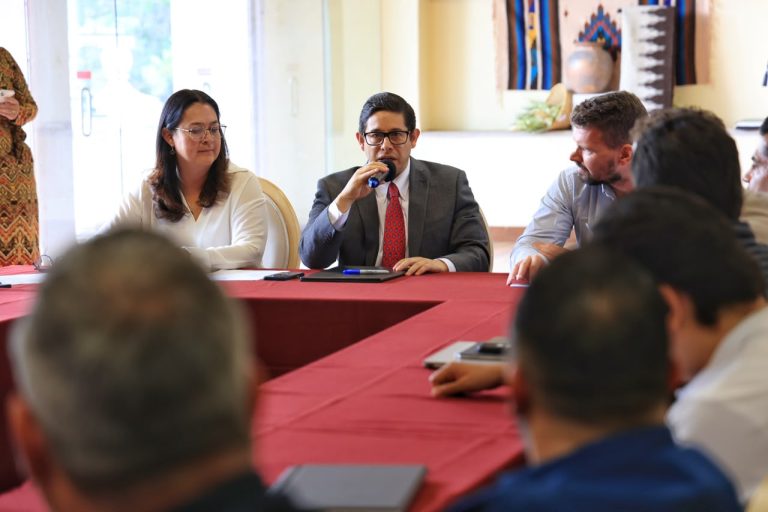 Buscan inversión de empresas alemanas en el sector minero