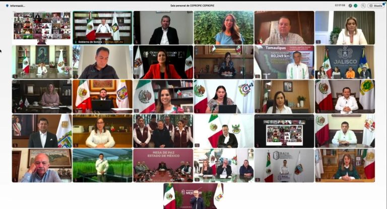 Exponen gobernadores sequía, pérdida forestal y tala ilegal