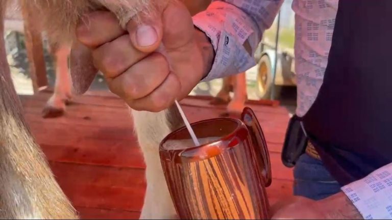 Los Pajaretes, el tesoro de Cieneguillas