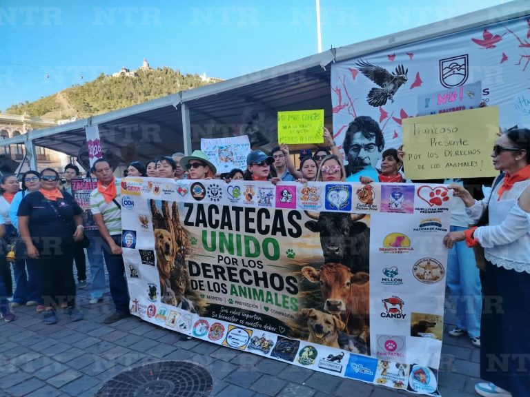 Marchan más de 40 asociaciones por el bienestar animal