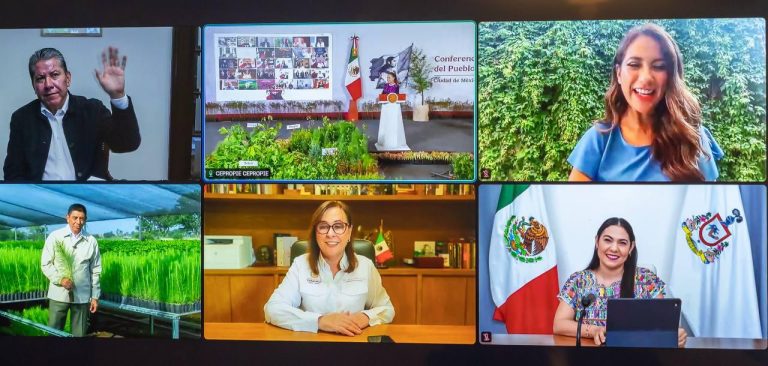 Se une Zacatecas a Jornada Nacional de Reforestación
