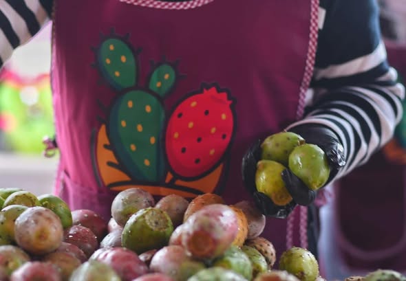 Tunas foráneas desplazan precios locales