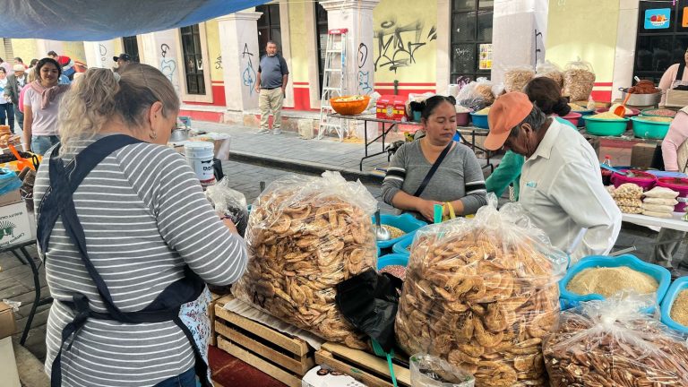 Entregan a comerciantes 240 licencias pendientes