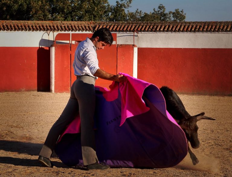 Fermín Rivera: veinte años después, Madrid