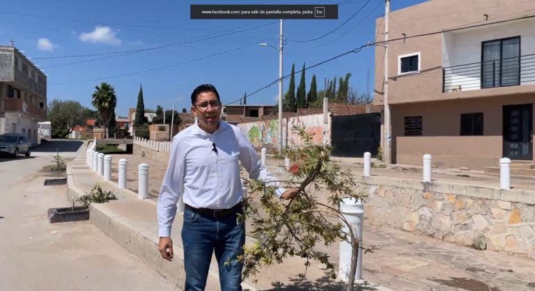 Vandalizan árboles; presentarán denuncia
