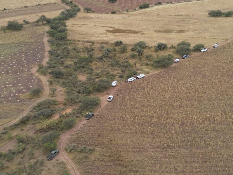Localizan restos óseos durante búsqueda forense en Villanueva
