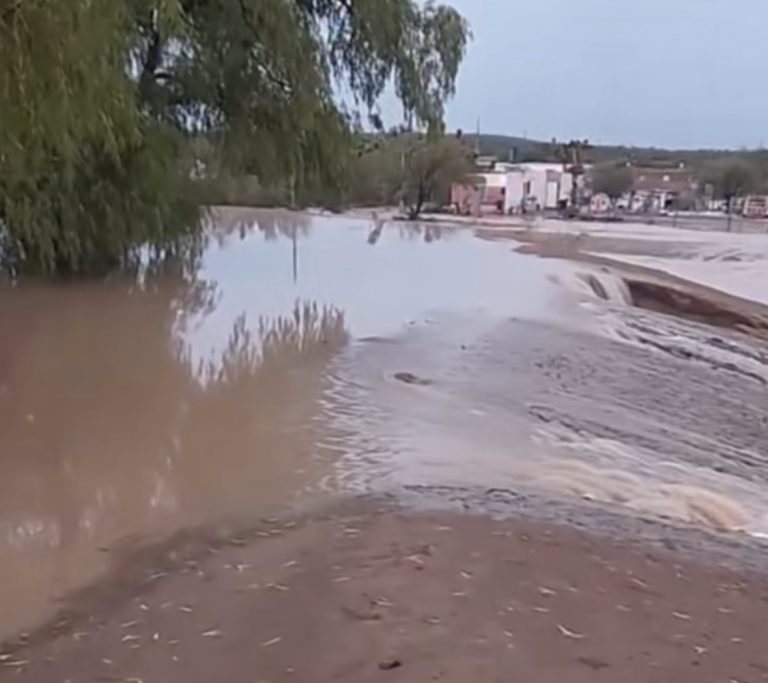 Despliegan Fuerza de Tarea Genaro Codina en Mazapil