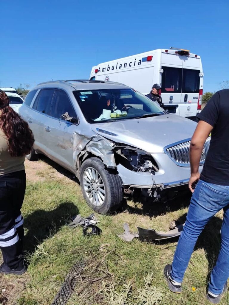 Muere caballo en aparatoso choque en Sain Alto