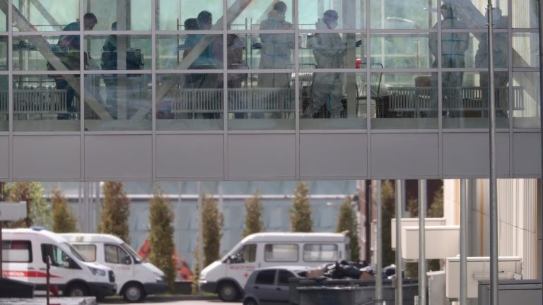 EU lanza alerta por presunto brote de peste; Rusia responde: «No hagan caso»
