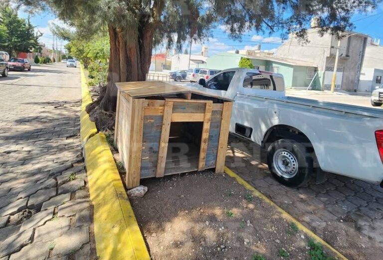 Interponen denuncia por envenenamiento de la perrita Cuquis