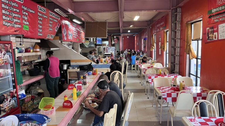 Multarán a cocinas del Mercado Hidalgo por falta de trampas de grasa