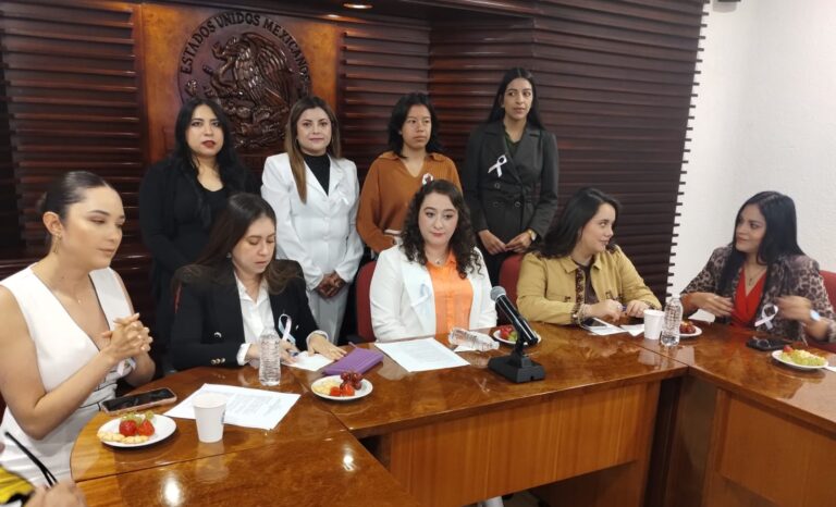 Piden reconocer trabajo previo en iniciativa de muertes perinatales