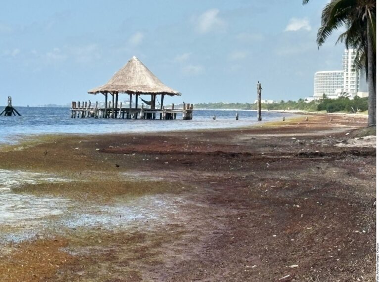 Pierde Quintana Roo brillo… y los vuelos