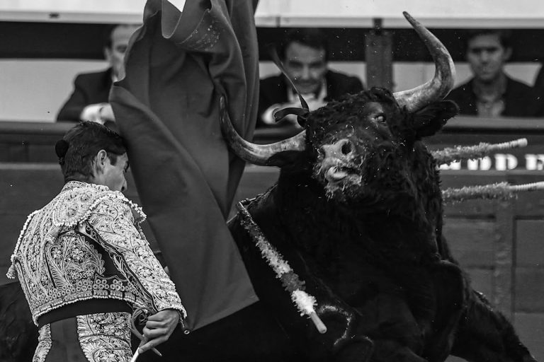 Torrejón firma lo más destacado en el inicio de la Feria de Otoño